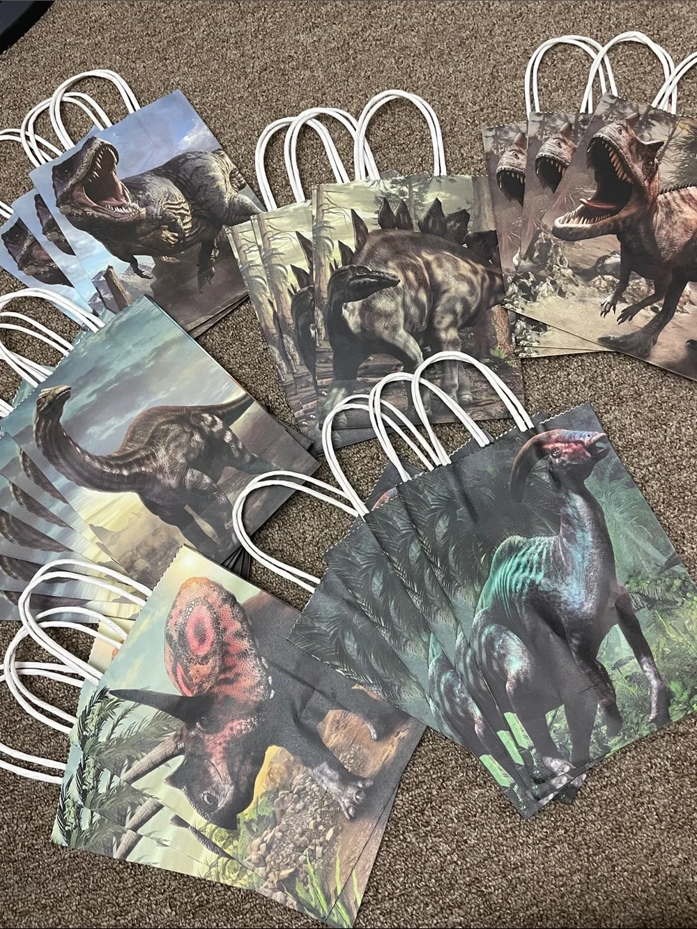 Dinosaur Party Favor Gift Bags - Multicolor